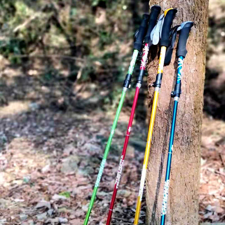 Bâton de Randonnée Télescopique en Carbone - Pliable 5 Sections pour Terrains Plats et Montagne