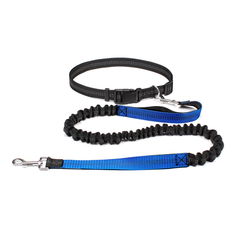 Laisse pour Chien Mains Libres + Ceinture Ajustable