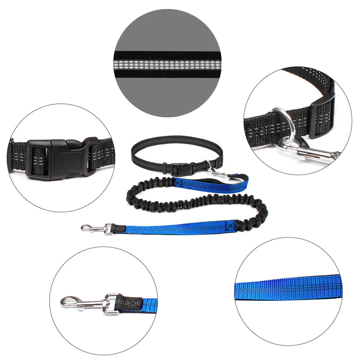 Laisse pour Chien Mains Libres + Ceinture Ajustable