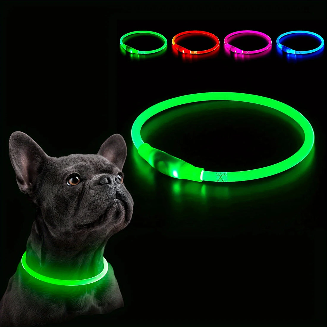 Collier LED pour Chien Rechargeable - Sécurité et Visibilité Nocturne