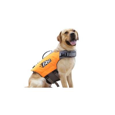 Vêtements de Protection pour Chiens